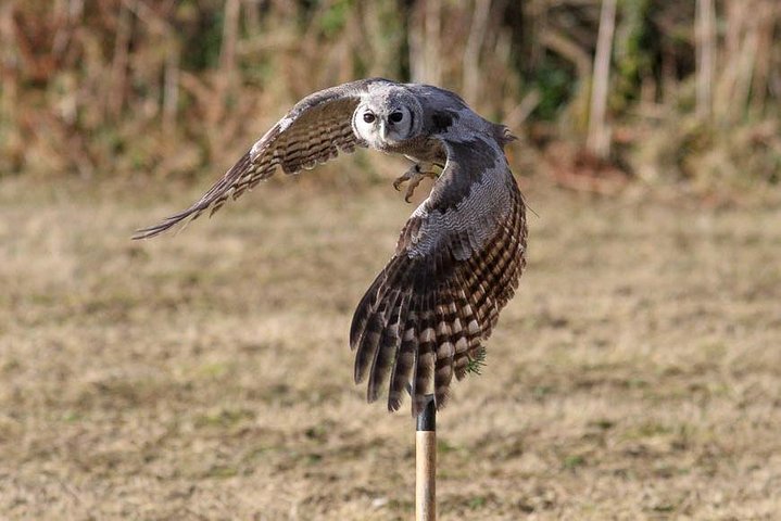 Bird watching in Mosi Oa Tunya National Park.
