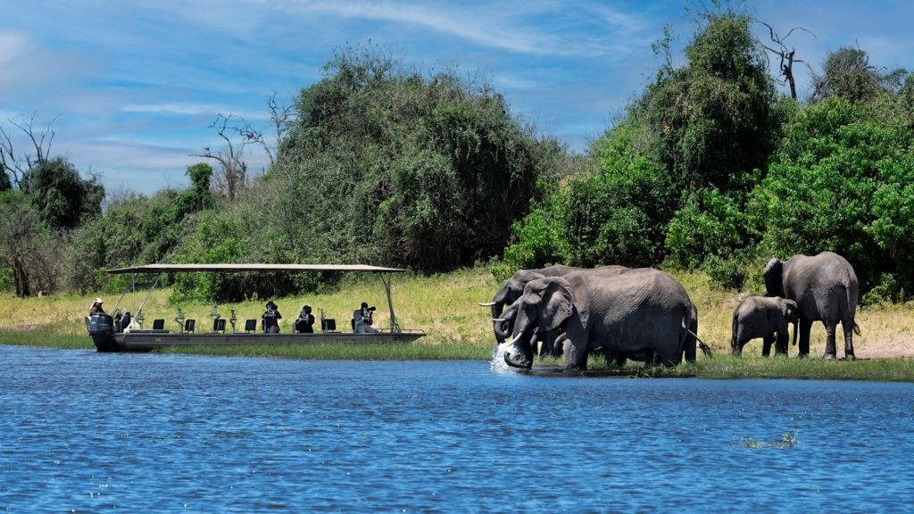 Exploring Chobe National Park.