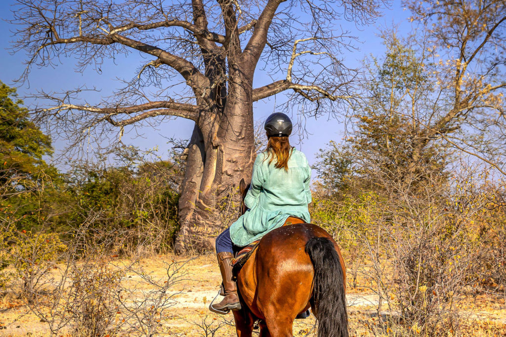 Horseback riding safari in Zambia