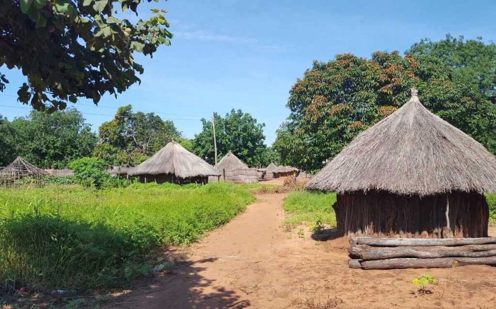 Mukuni Village Tour