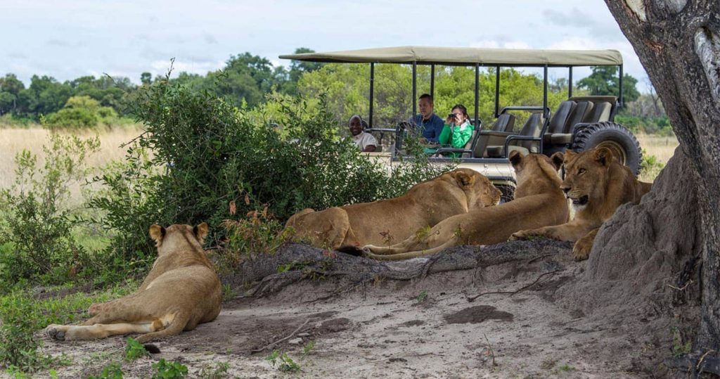 Game drives in Chobe National Park