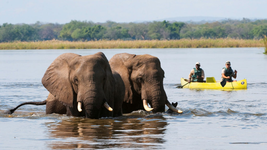 Activities  in Lower Zambezi National Park