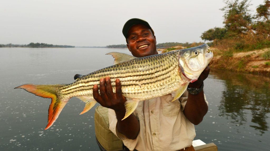 Fishing in Lower Zambezi national park.
