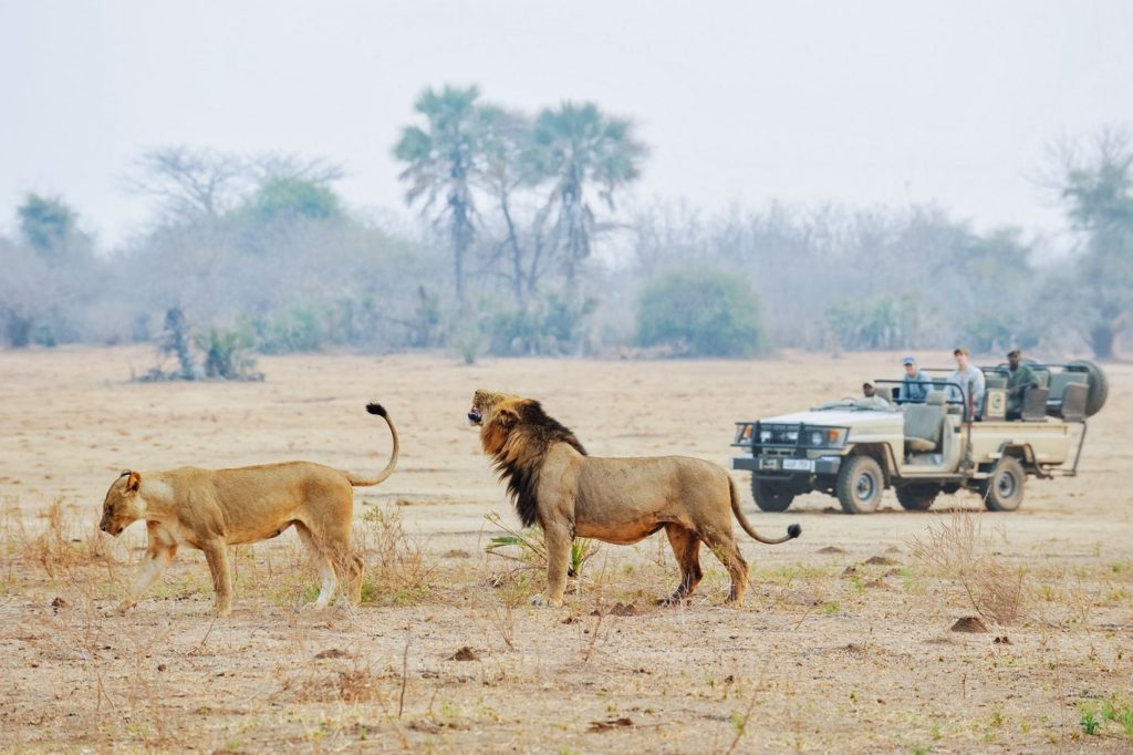 game drives in Lower Zambezi National Park