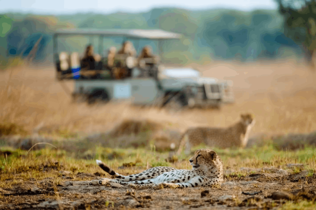 kafue national park 