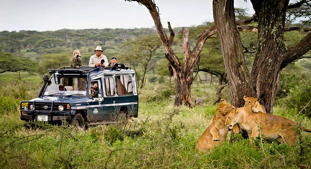 game drives in kafue national park