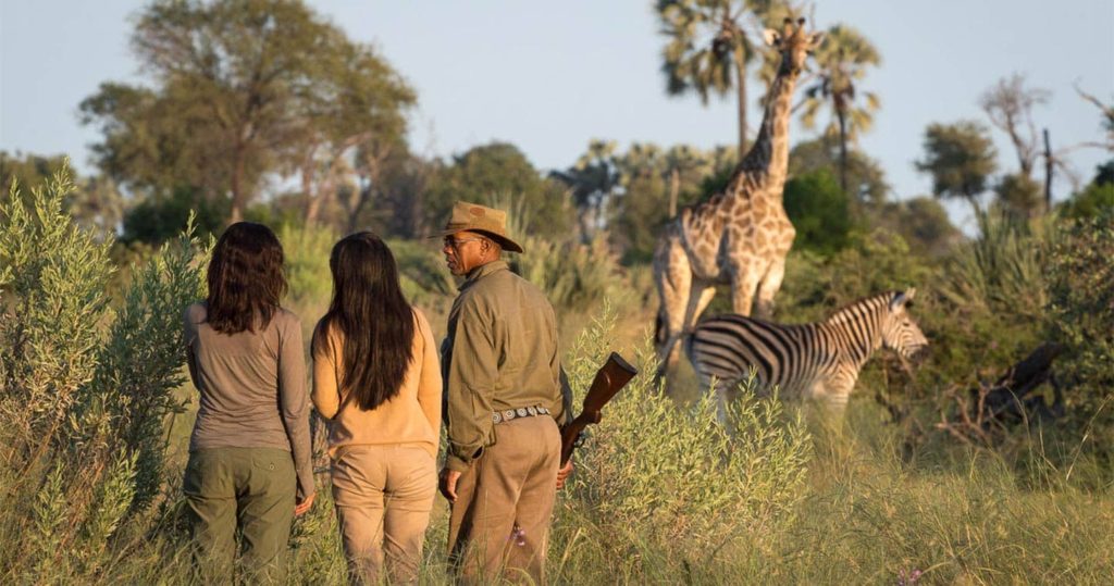 Guided Nature/bush walks in Chobe National Park.