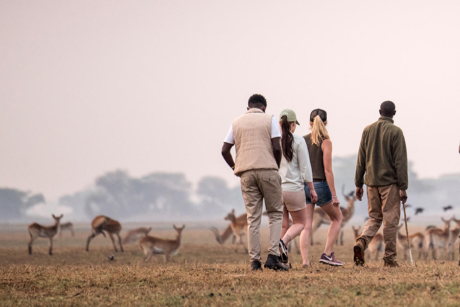 walking safaris in Kafue national park