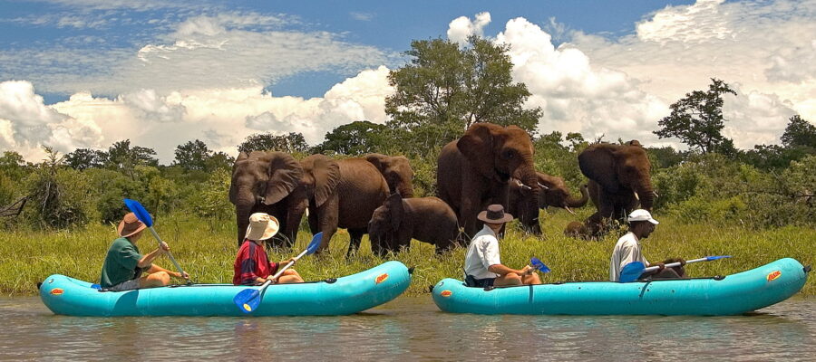 Experiencing River Zambezi.