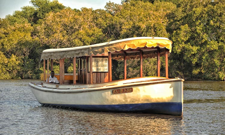 Sunset Cruise on River Zambezi