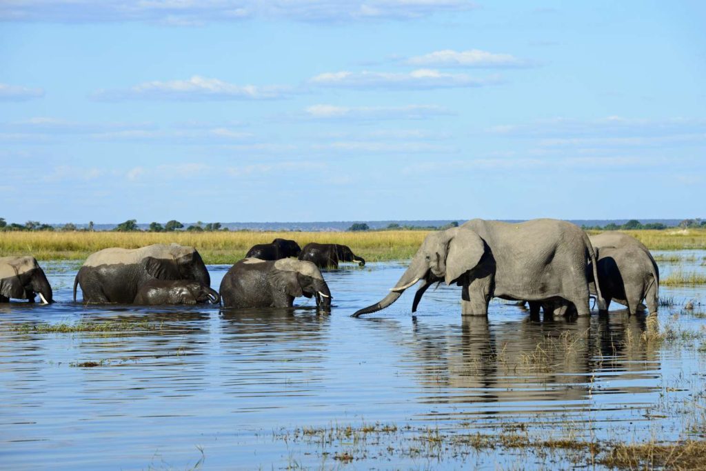 Visit Victoria Falls from Botswana